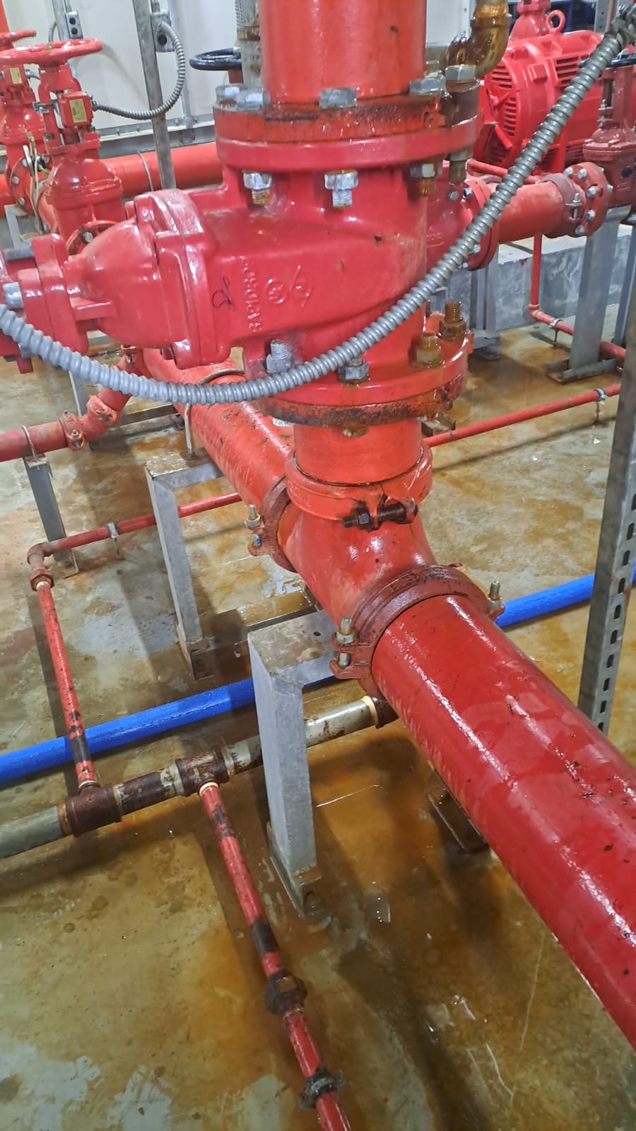 Novaroots Project 30